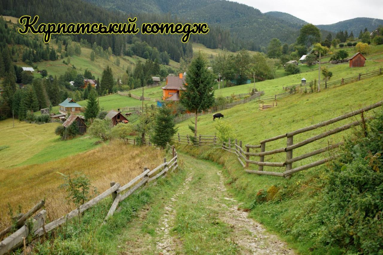 Карпатський Котедж Karpatian Cottage Vorohta Exterior foto