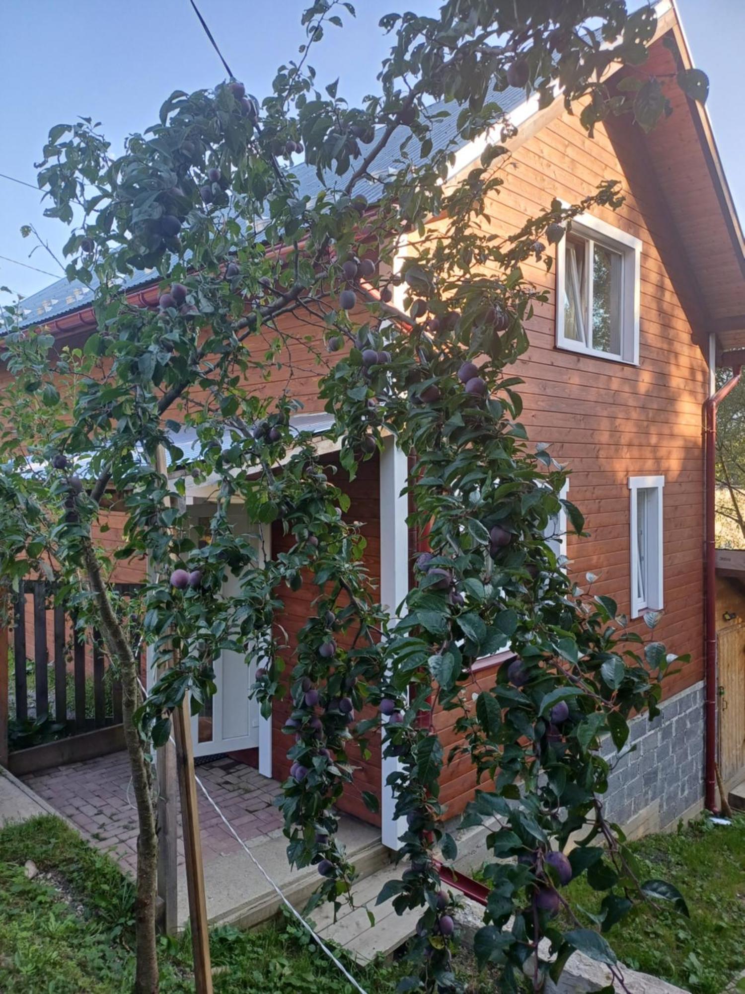 Карпатський Котедж Karpatian Cottage Vorohta Exterior foto